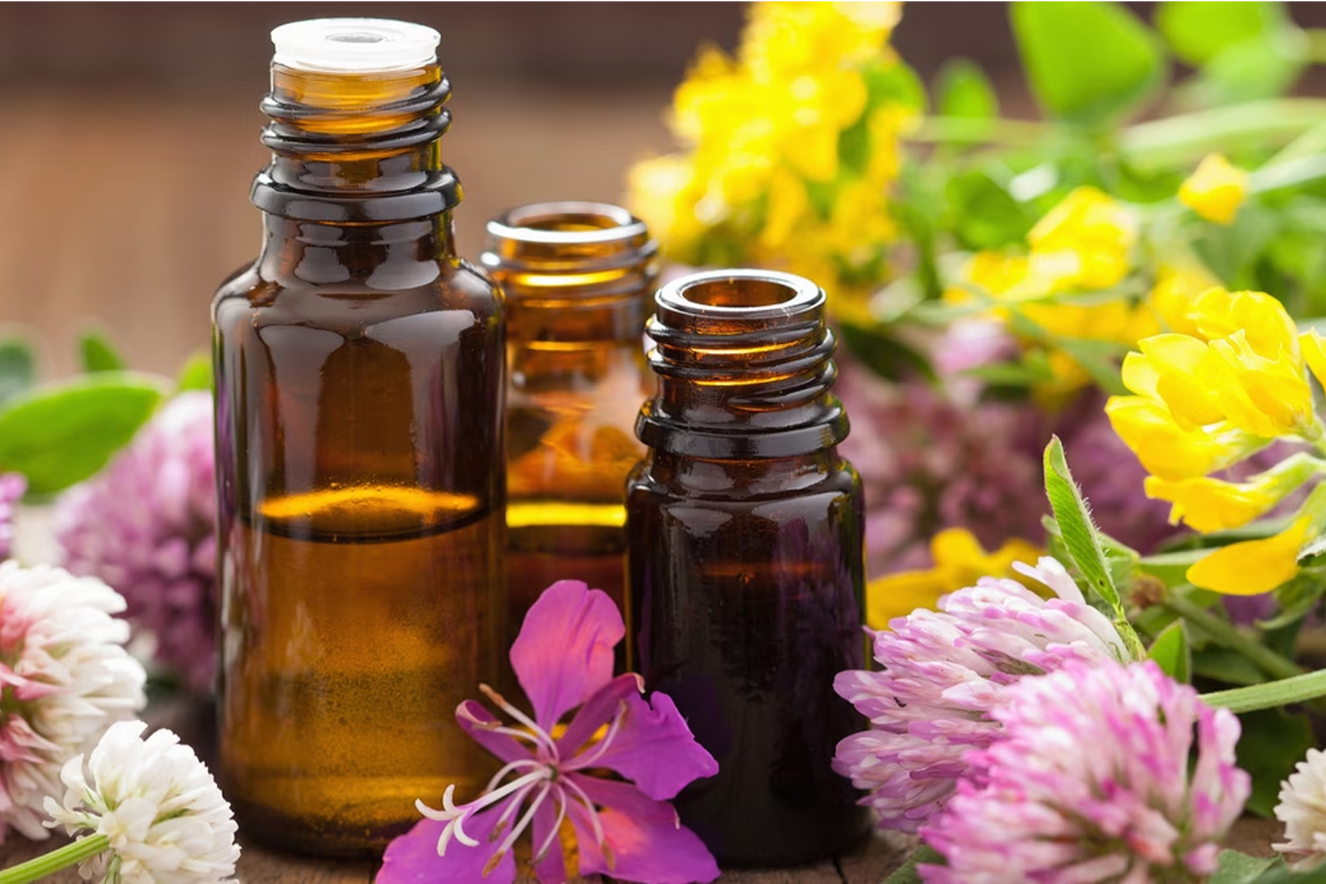 Huiles végétales premium Folk Oils, production au Maroc